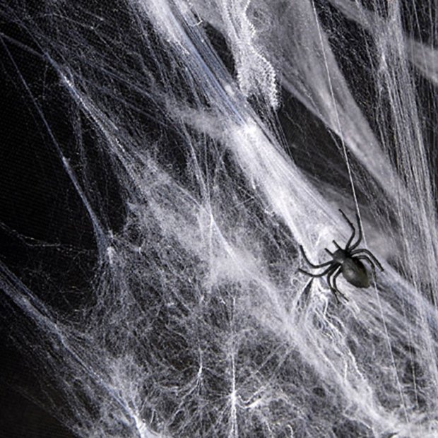 Spinnennetz weiß - 60g